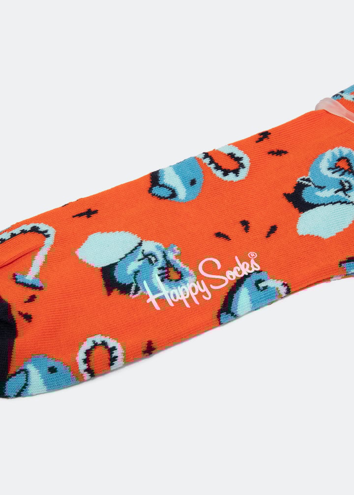 cel01-4300_2.jpg?ts=20220504182611