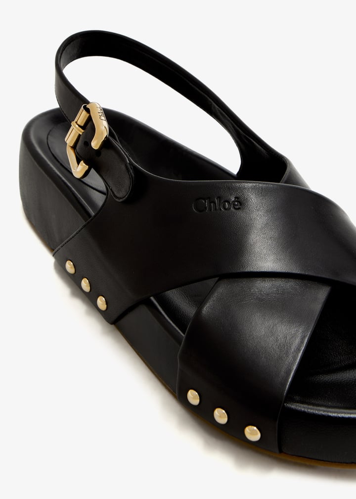 ch25a10ah3-001_3.jpg?ts=20250524030651