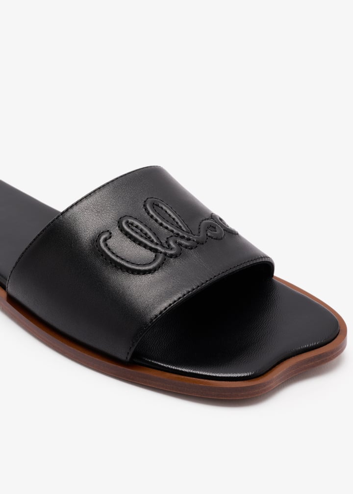 ch25a12lpi-001-mm_5.jpg?ts=20250909035212