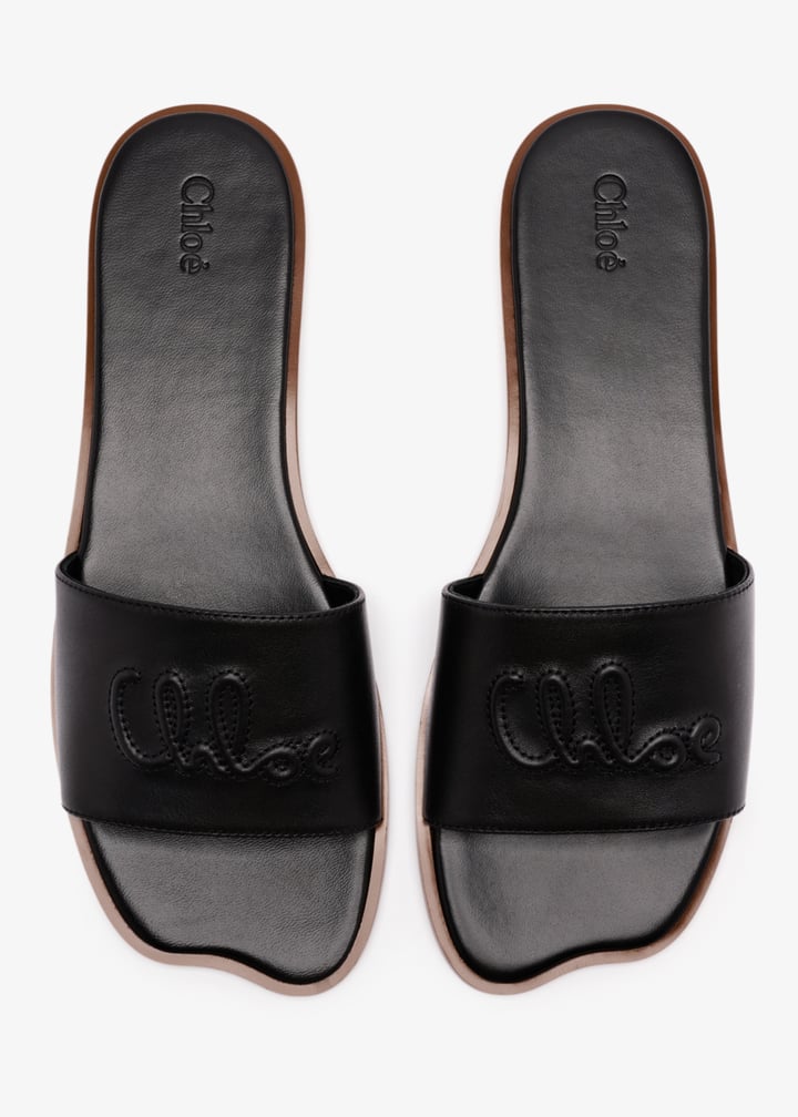 ch25a12lpi-001-mm_7.jpg?ts=20250909035212