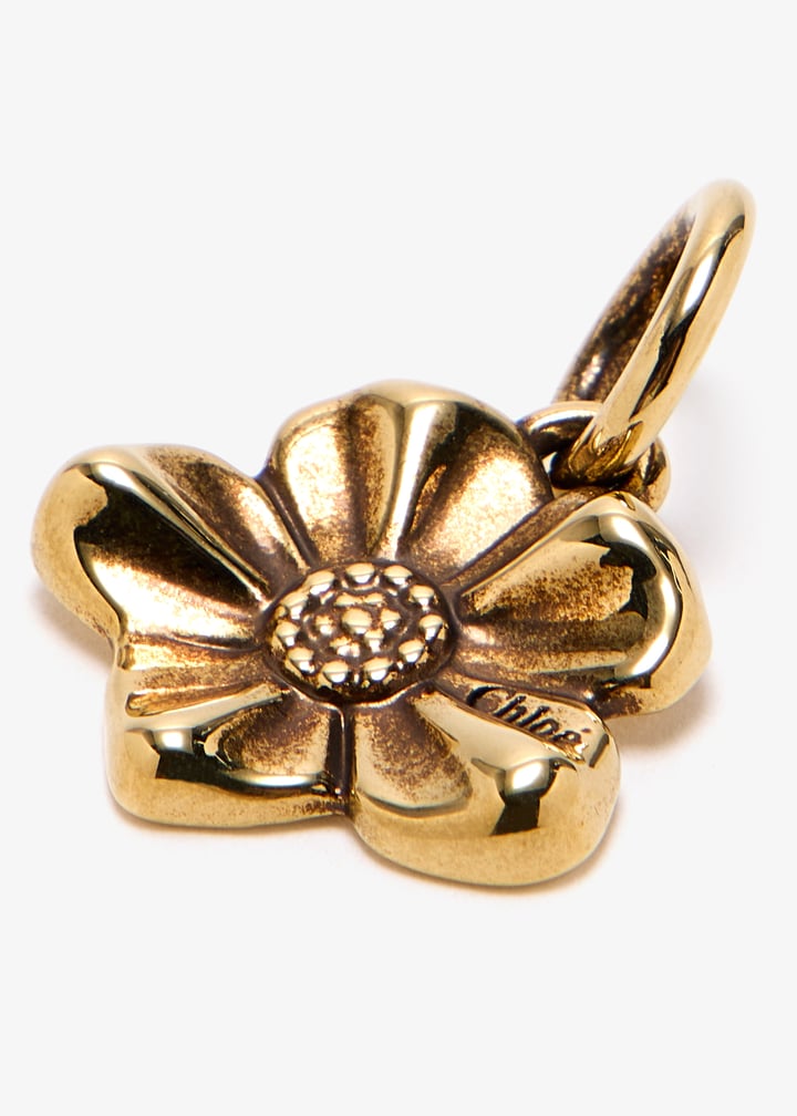 ch25ak165cb7-9da_2.jpg?ts=20250523031016