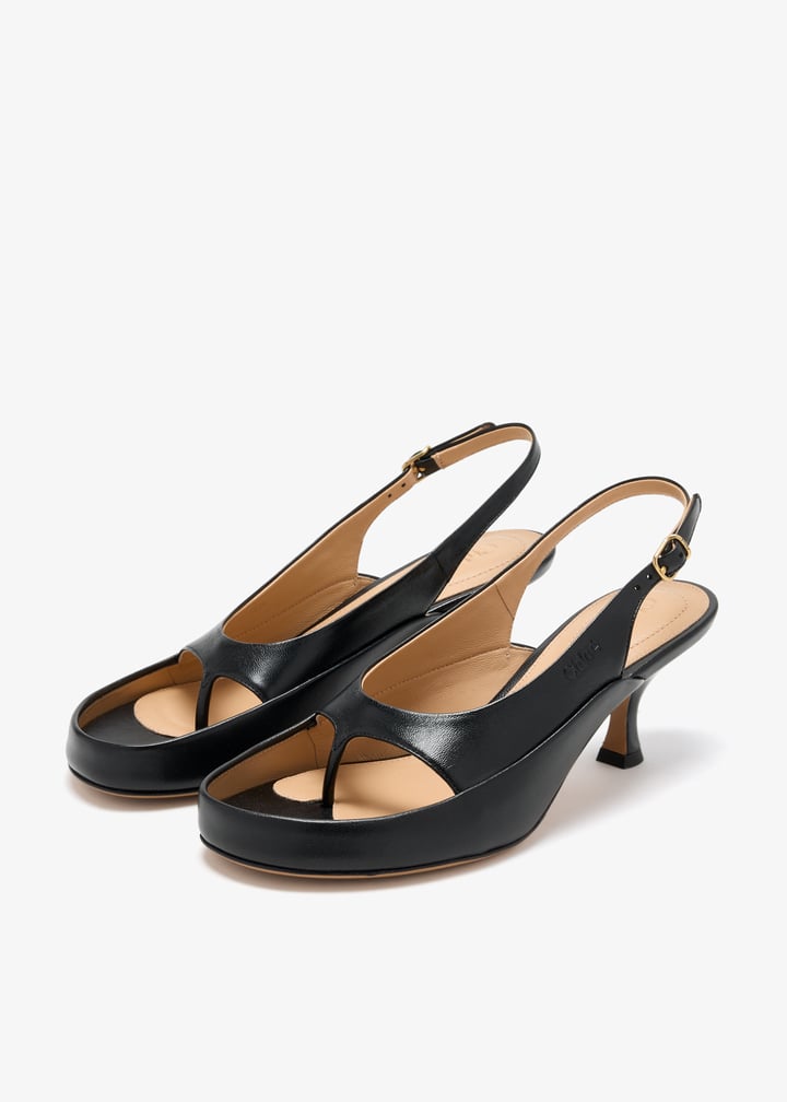 ch26u19urc-001_7.jpg?ts=20260403043102