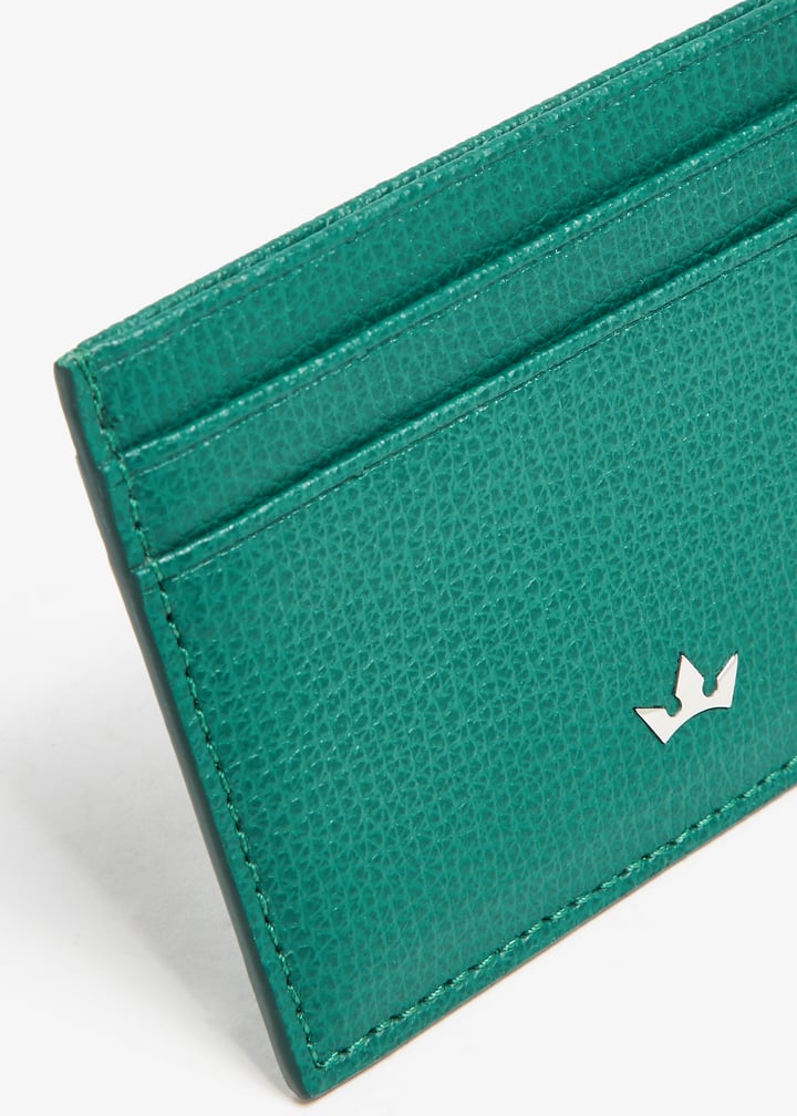 ch9-4agn-green_3.jpg?ts=20240326030518