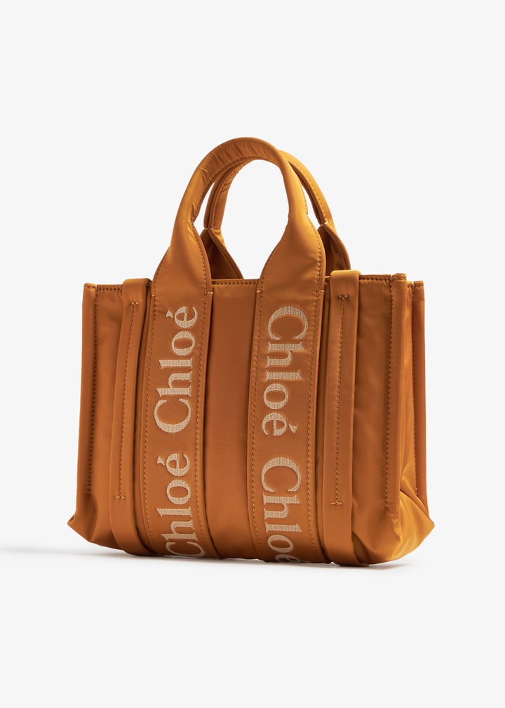 Chloé Woody small tote bag for Women - Brown in UAE | Level