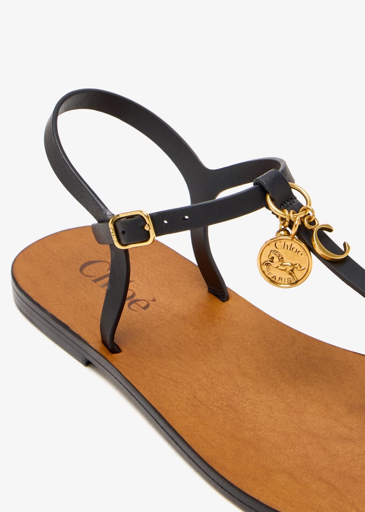 chc25a12slt-001_3.jpg?ts=20250616152536