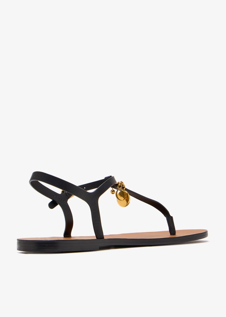 chc25a12slt-001_4.jpg?ts=20250616152536