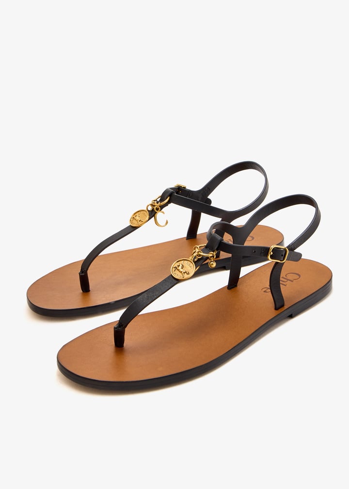 chc25a12slt-001_5.jpg?ts=20250616152536