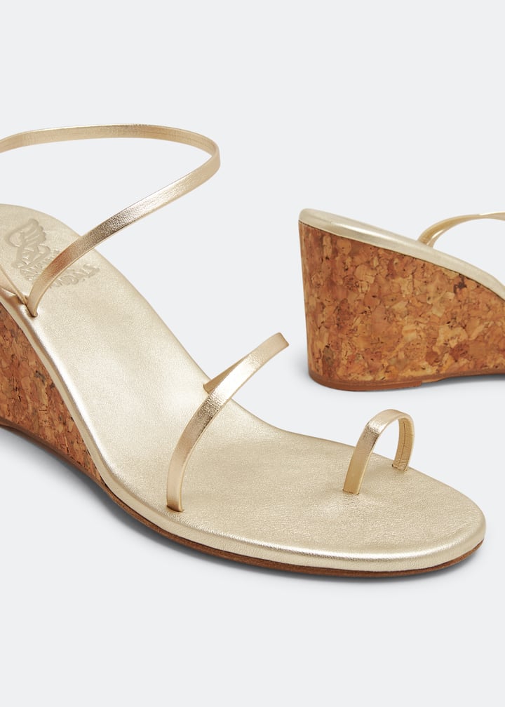 choramidwedge-pltnum_3.jpg?ts=20230531031127