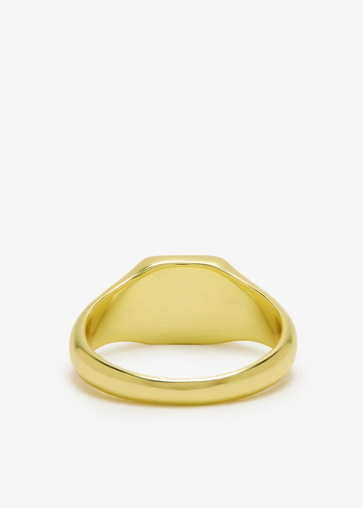 cl-onyxcushr-g_6.jpg?ts=20260124143350