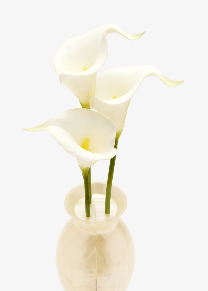 cl1445ac3063-ivy_5.jpg?ts=20251230020536