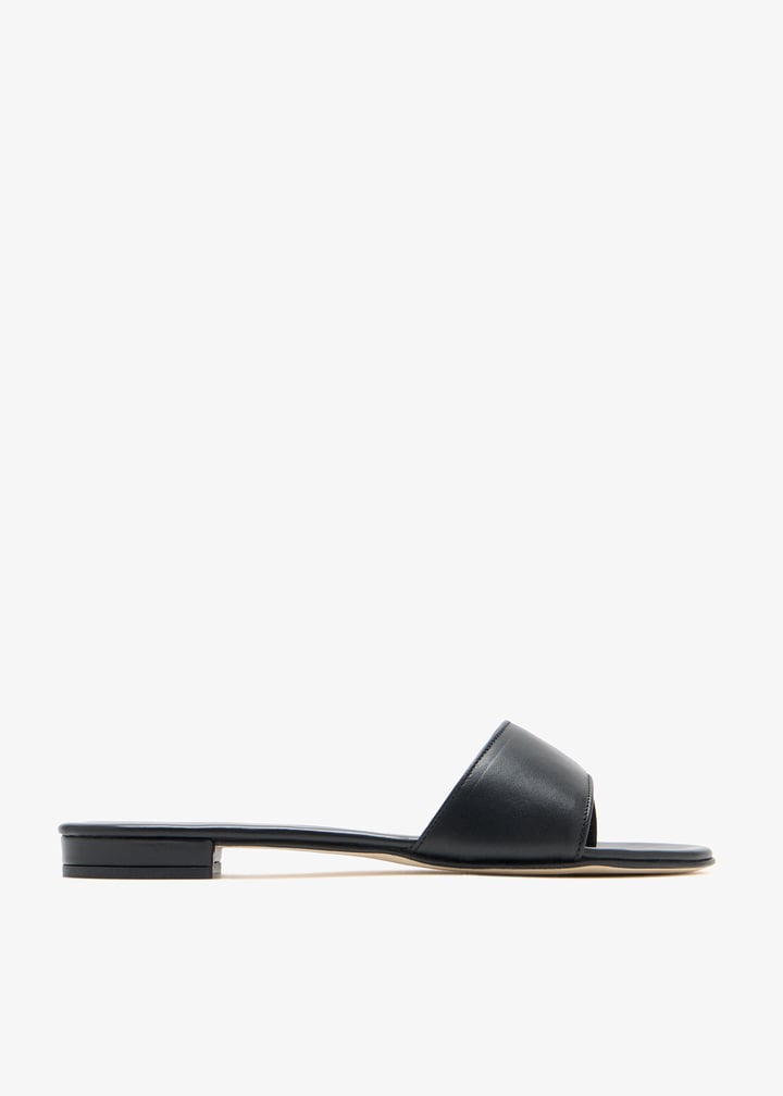 cor-cannucce-blacas_1.jpg?ts=20260528020546