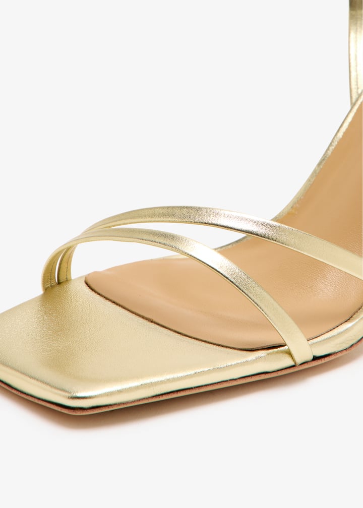 corso-goname_5.jpg?ts=20251018031356