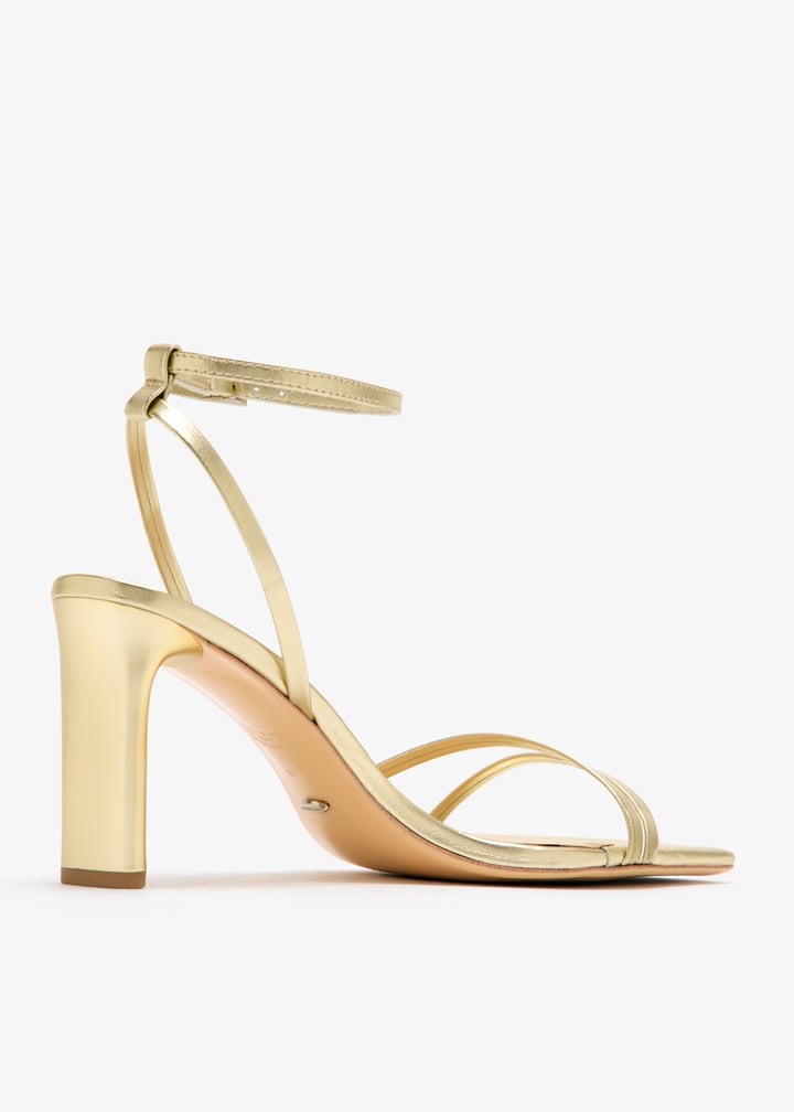 corso-goname_6.jpg?ts=20251018031356