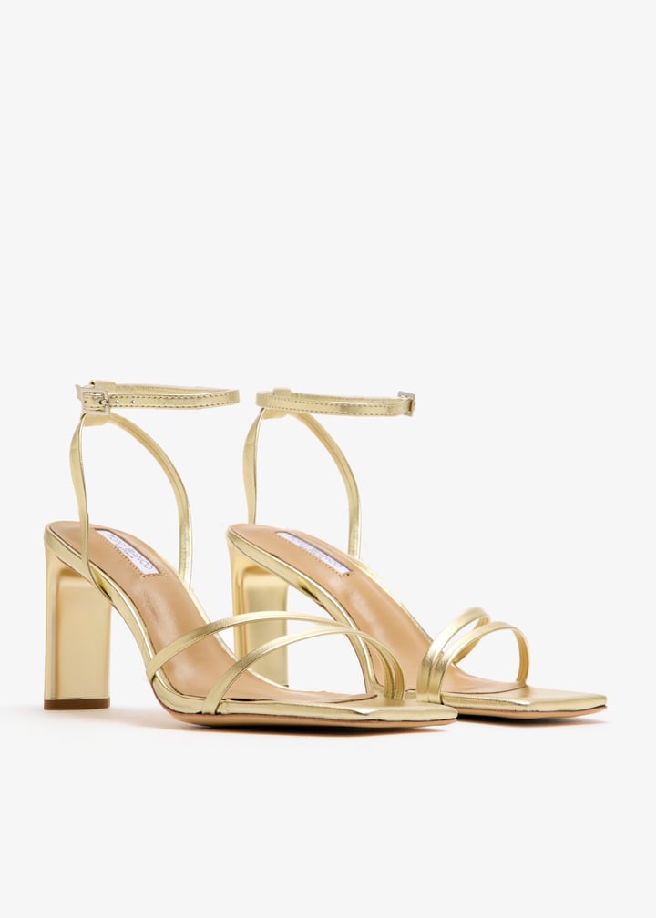 corso-goname_7.jpg?ts=20251018031356