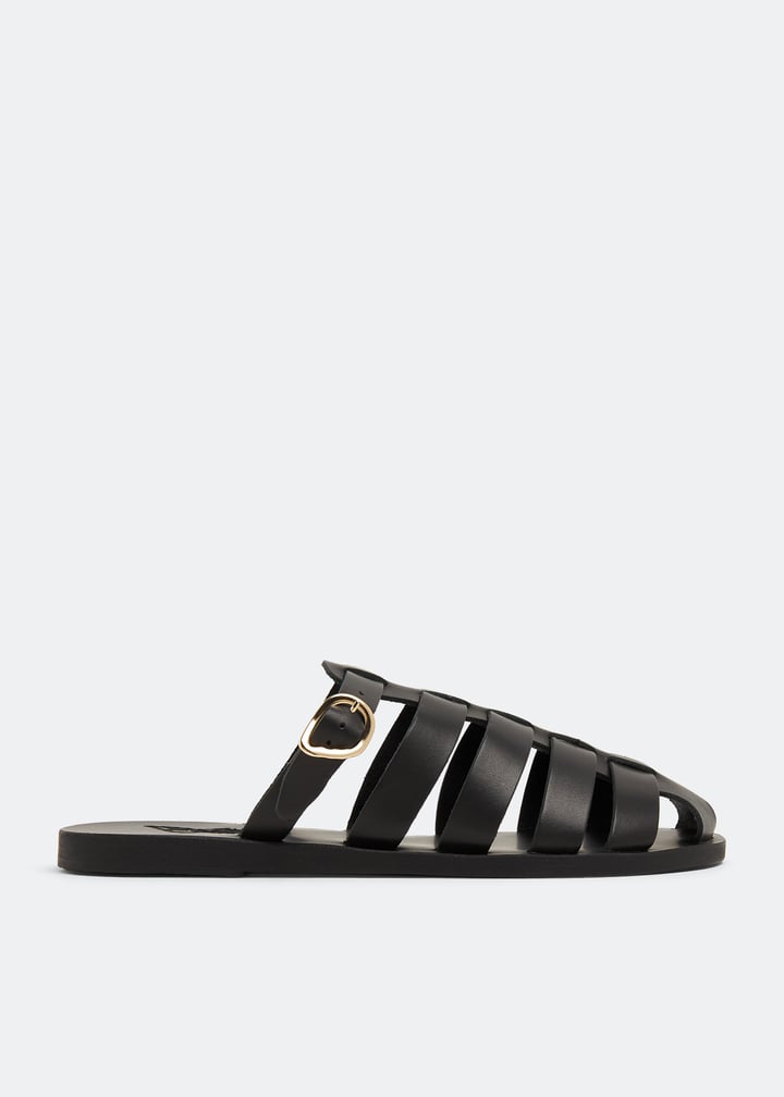 cosmia-black_1.jpg?ts=20260328030429