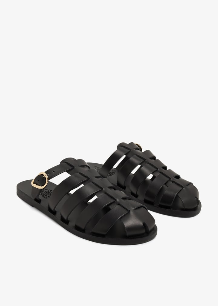 cosmia-black_5.jpg?ts=20250830030627