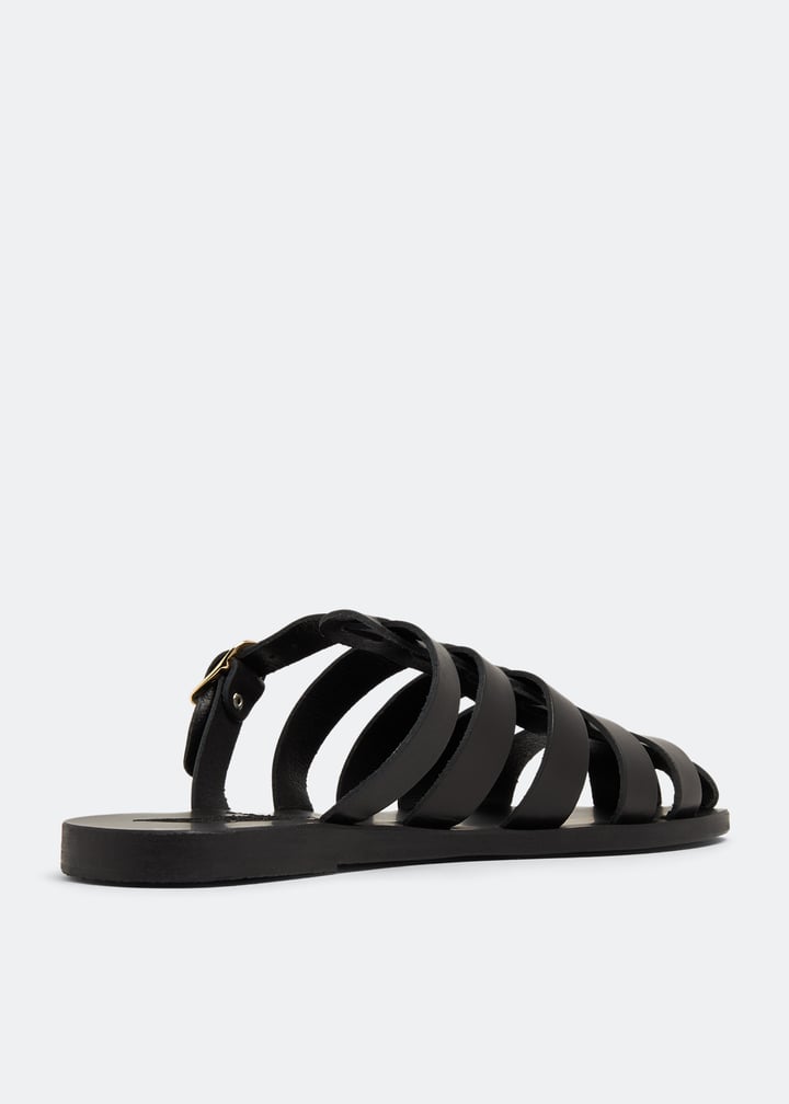 cosmia-black_6.jpg?ts=20260404020532