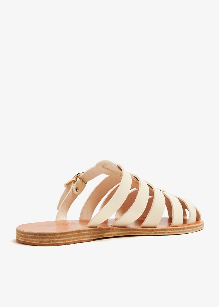 cosmia-offwht_6.jpg?ts=20240622030519