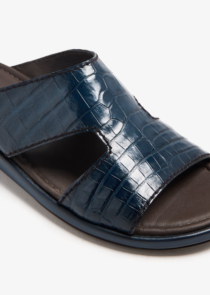 cro0903pre-blue_3.jpg?ts=20240926030519