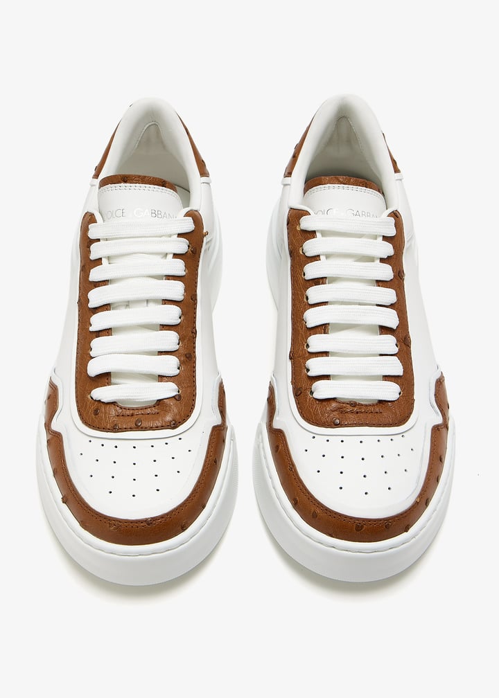 cs2275c8m928s537_5.jpg?ts=20250118030517