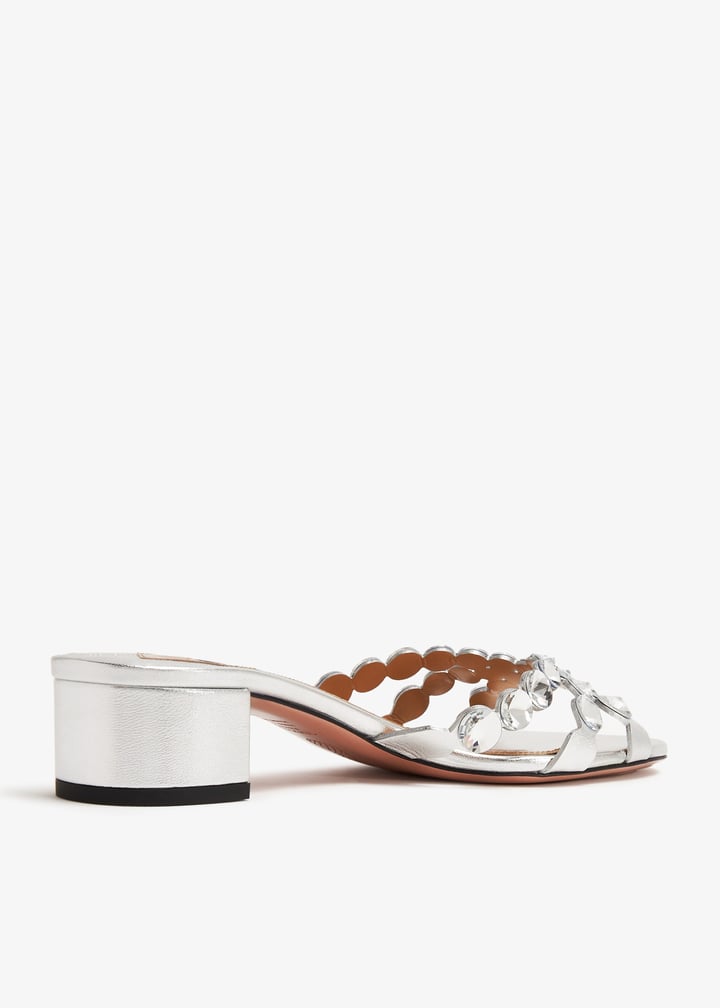 cygmidm0-npl-ccc_6.jpg?ts=20240530031014