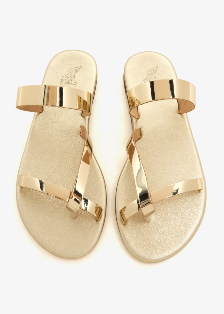 daphnae-gold_7.jpg?ts=20260620020649