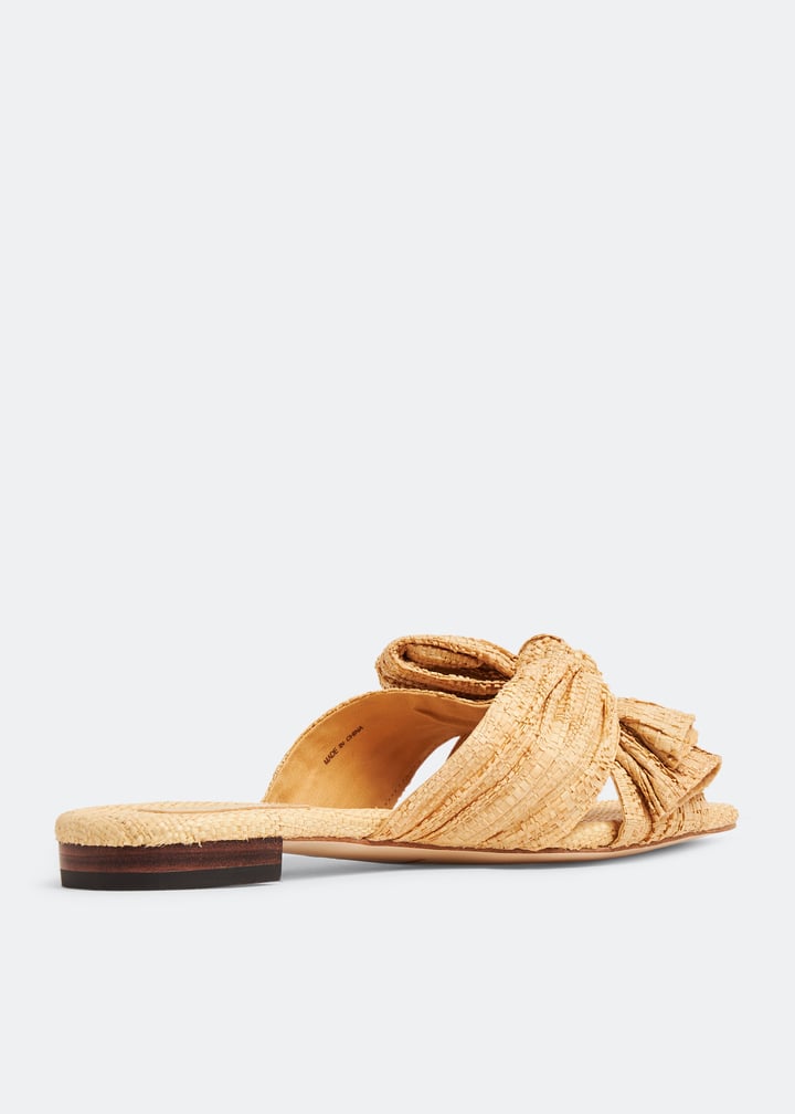 daphne-pls-natrl_4.jpg?ts=20230713041010