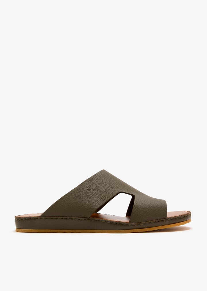 dcf0598rwes-salvia_1.jpg?ts=20250815030634