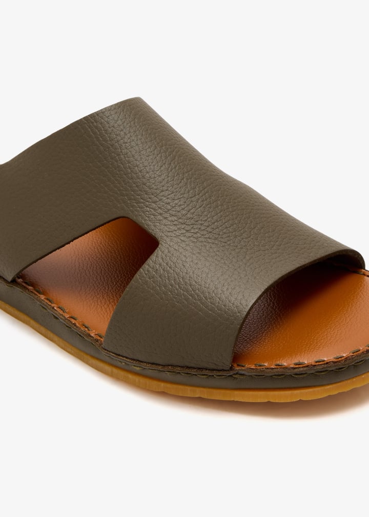 dcf0598rwes-salvia_5.jpg?ts=20250815030635