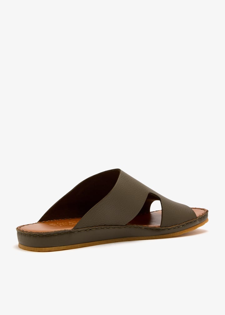 dcf0598rwes-salvia_6.jpg?ts=20250815030635