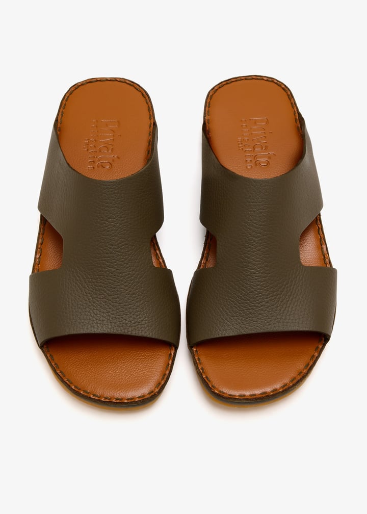 dcf0598rwes-salvia_7.jpg?ts=20250815030635