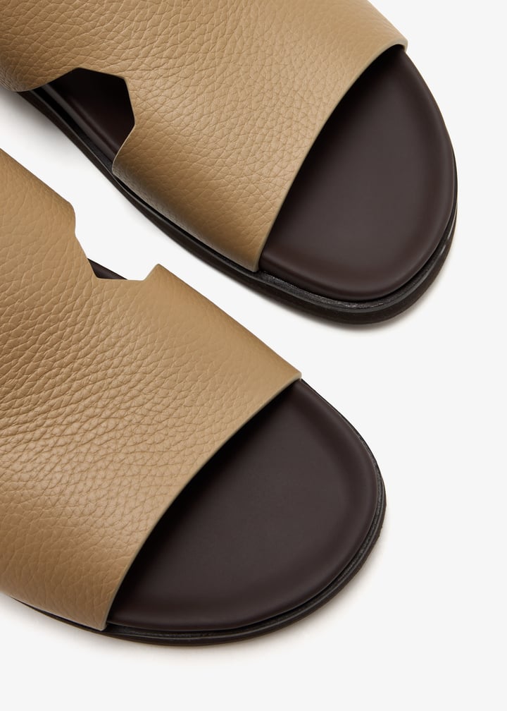 dcf1508amano-sharon_3.jpg?ts=20250218123555