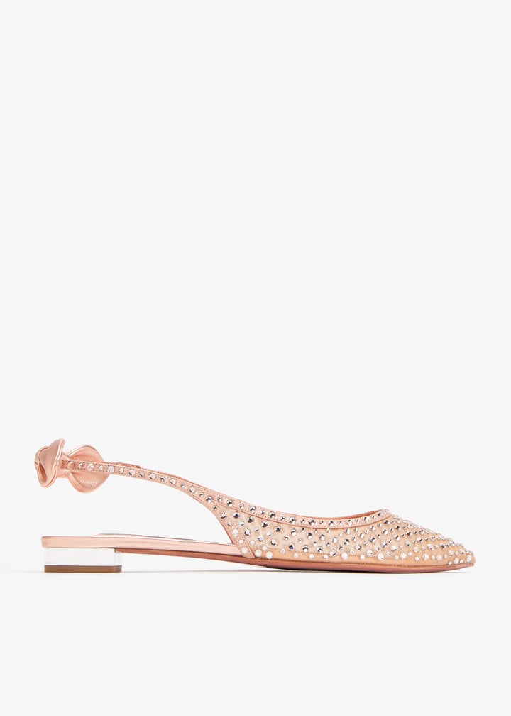 dctflaa1-nws-pet_1.jpg?ts=20241224030524