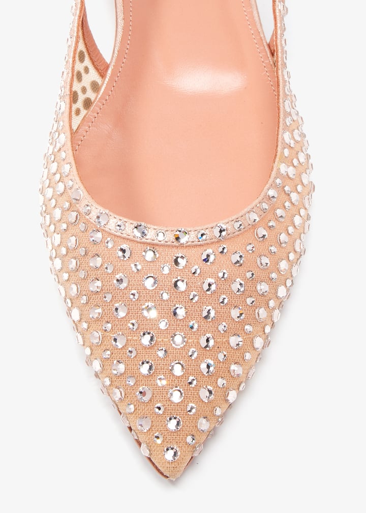 dctflaa1-nws-pet_5.jpg?ts=20241224030524