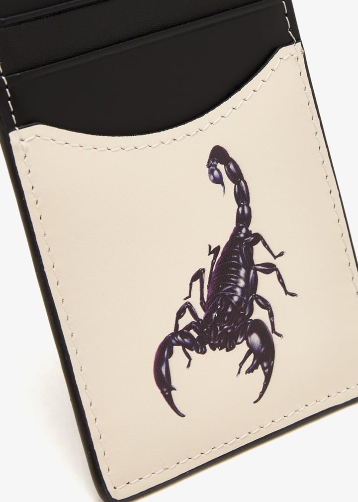 ddchscorp-scorpi_5.jpg?ts=20250926095241