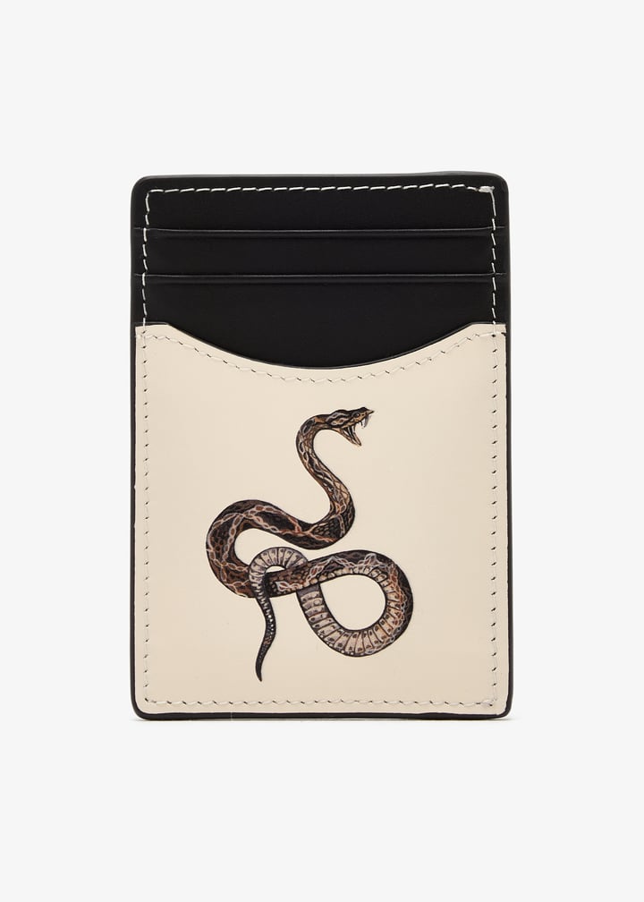 ddchsnake-snake_1.jpg?ts=20250926095244