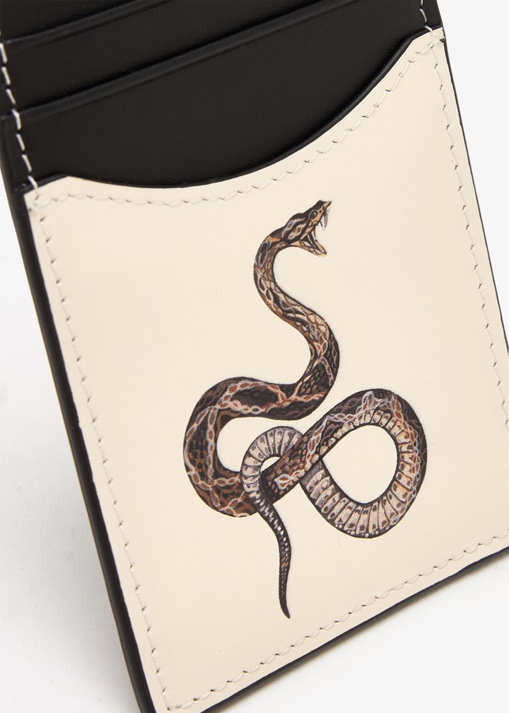 ddchsnake-snake_5.jpg?ts=20250926095244