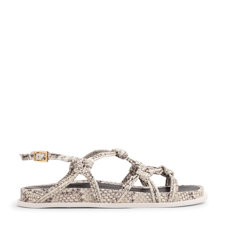 deandraanatomic-roccia_1.jpg?ts=20220505183722