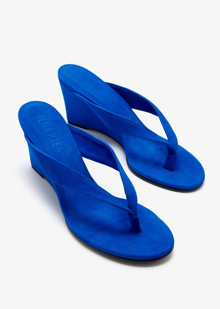 demetra-cobalt_7.jpg?ts=20260827020556