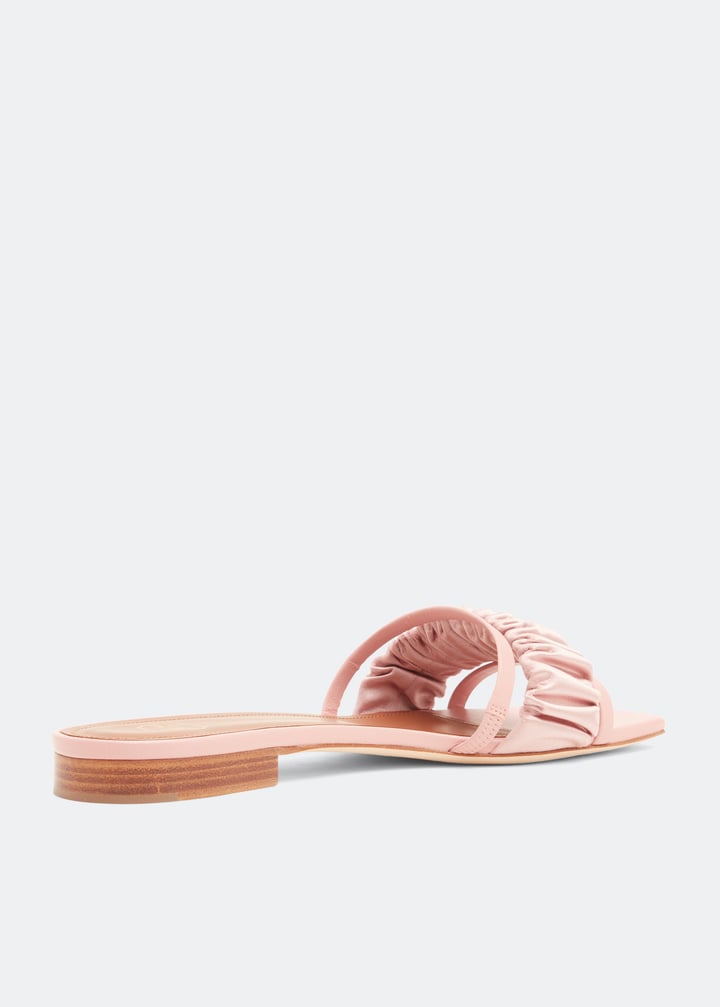 demiflat25-rosros_4.jpg?ts=20220505183724