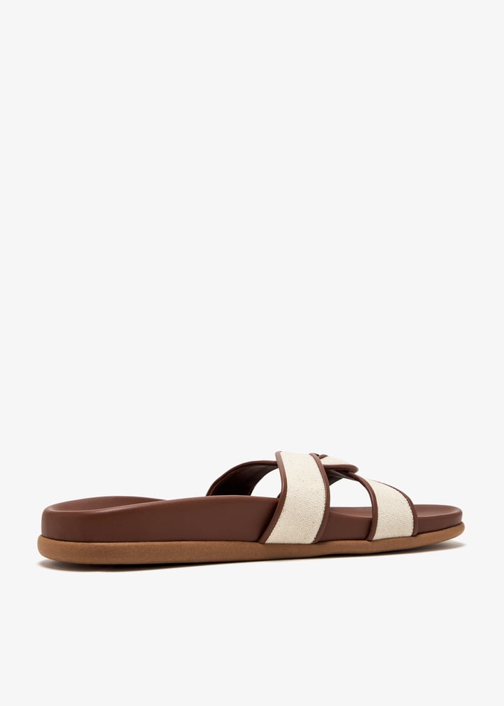 desmos-natcot_6.jpg?ts=20250405035016