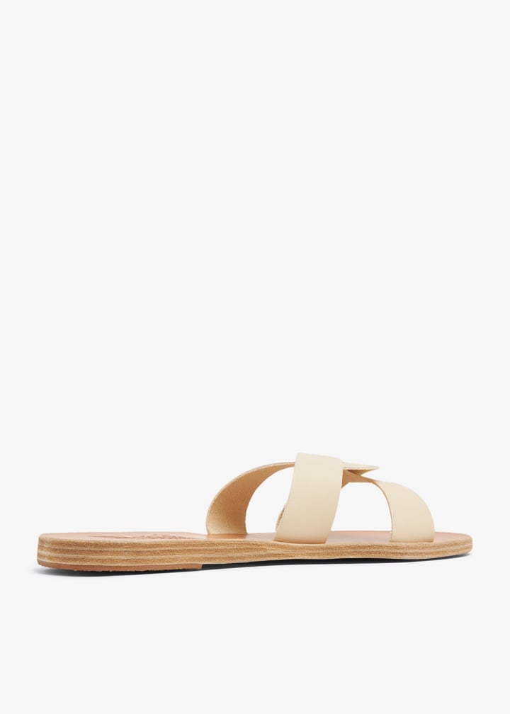 desmos-offwht_4.jpg?ts=20231223030519