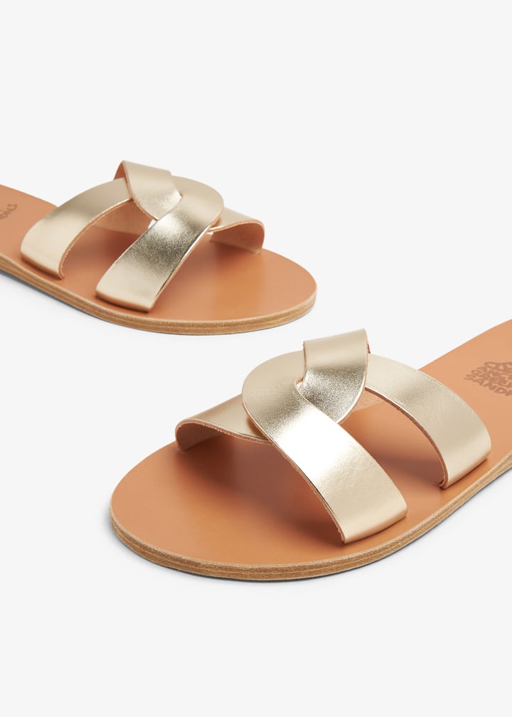 desmos-pltnum_3.jpg?ts=20240418044013