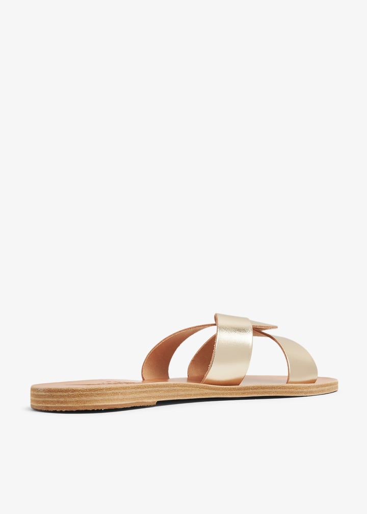 desmos-pltnum_4.jpg?ts=20240418044013