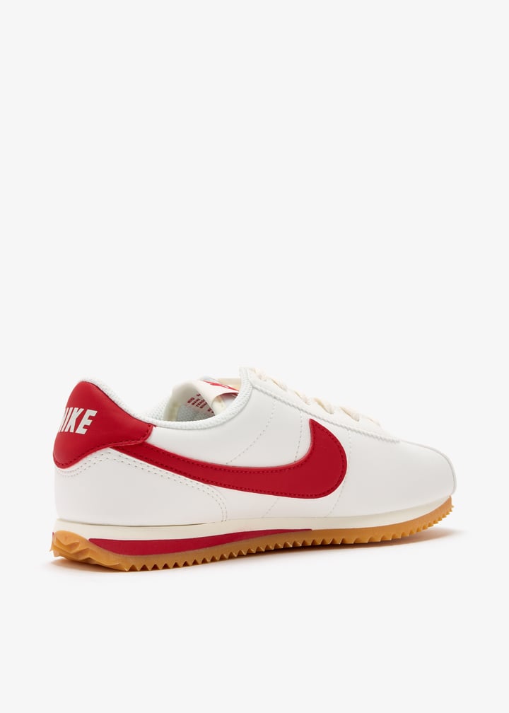 dm0950-113_6.jpg?ts=20241221042620