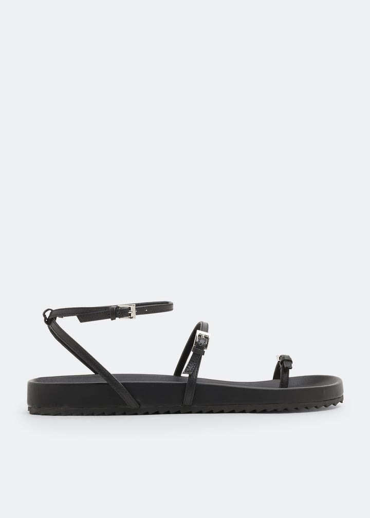 domino-ebony_1.jpg?ts=20220505183736