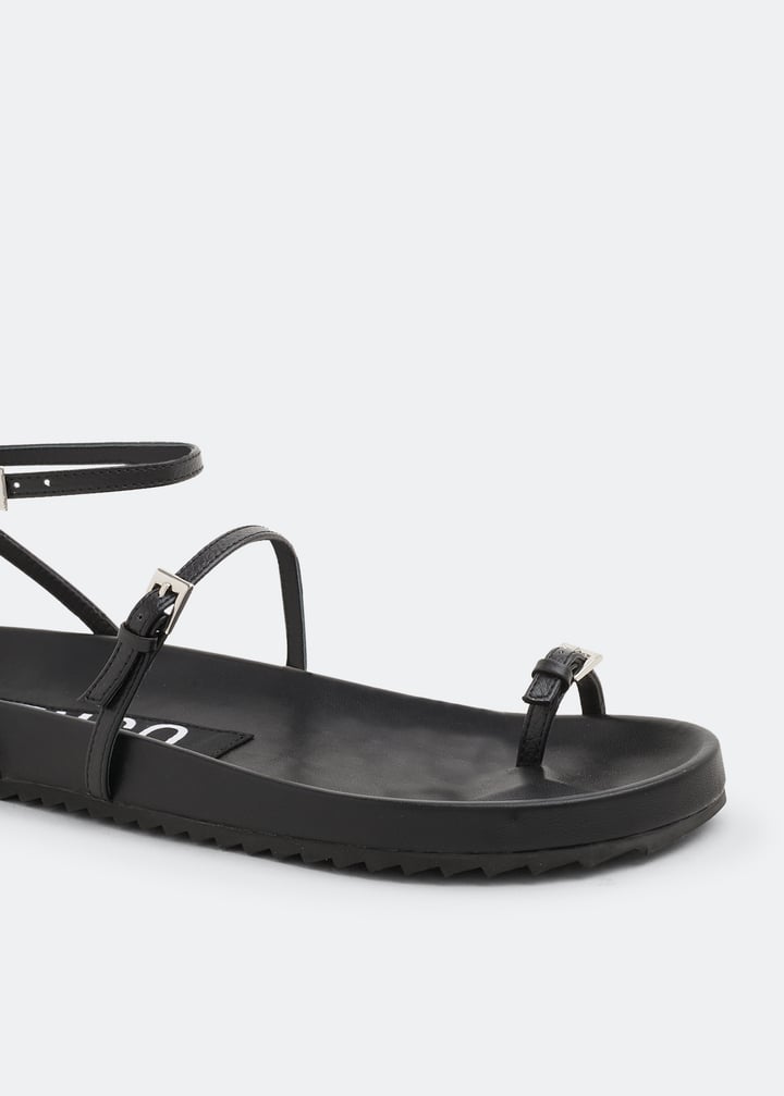 domino-ebony_3.jpg?ts=20220505183736