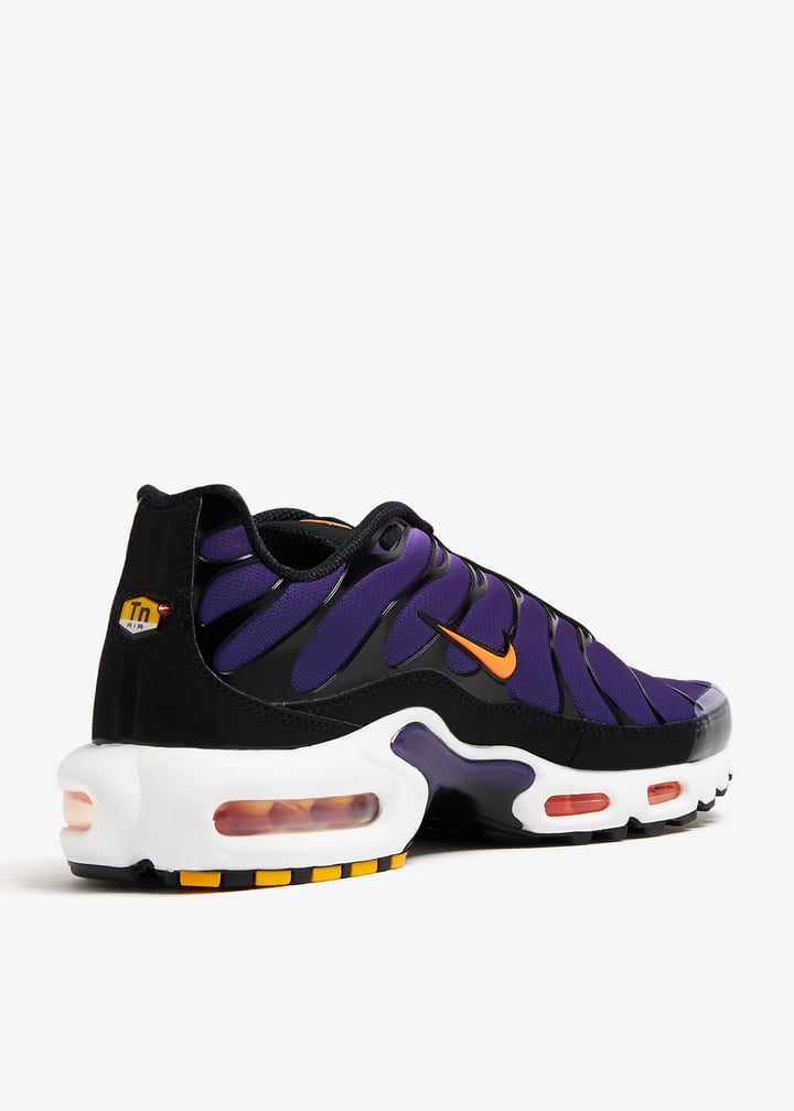 dx0755-500_4.jpg?ts=20240109030516