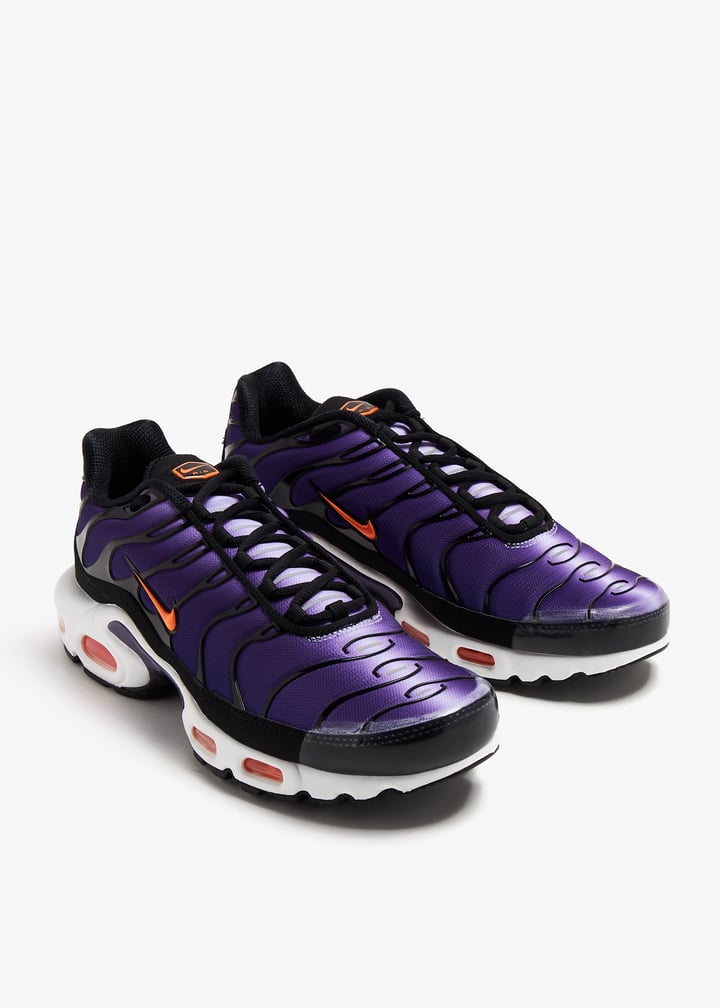 dx0755-500_5.jpg?ts=20240109030516