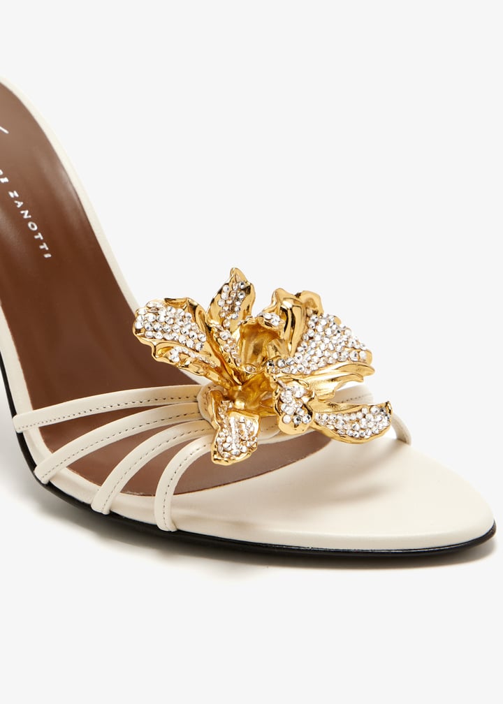 e600006-001_6.jpg?ts=20251126132855